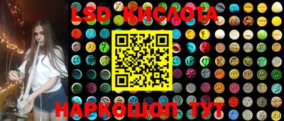 прущие грибы Краснодар