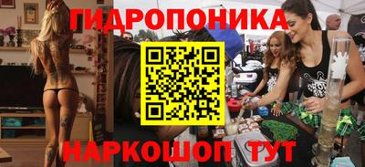 прущие грибы Краснодар
