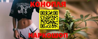 прущие грибы Краснодар