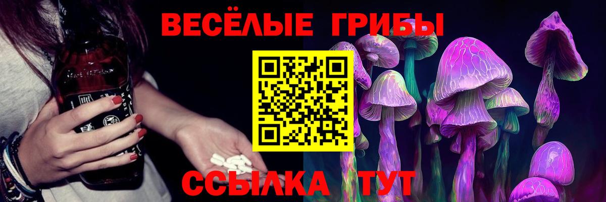 Галлюциногенные грибы Cubensis Кисловодск