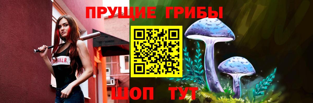 Кисловодск  Псилоцибиновые грибы прущие грибы  цена наркотик  Вход с VPN 